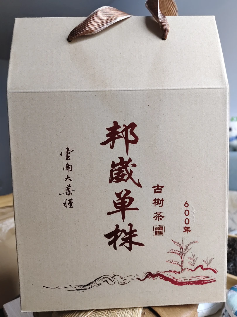 2025年头春600年古树挑采，一盒一斤500克