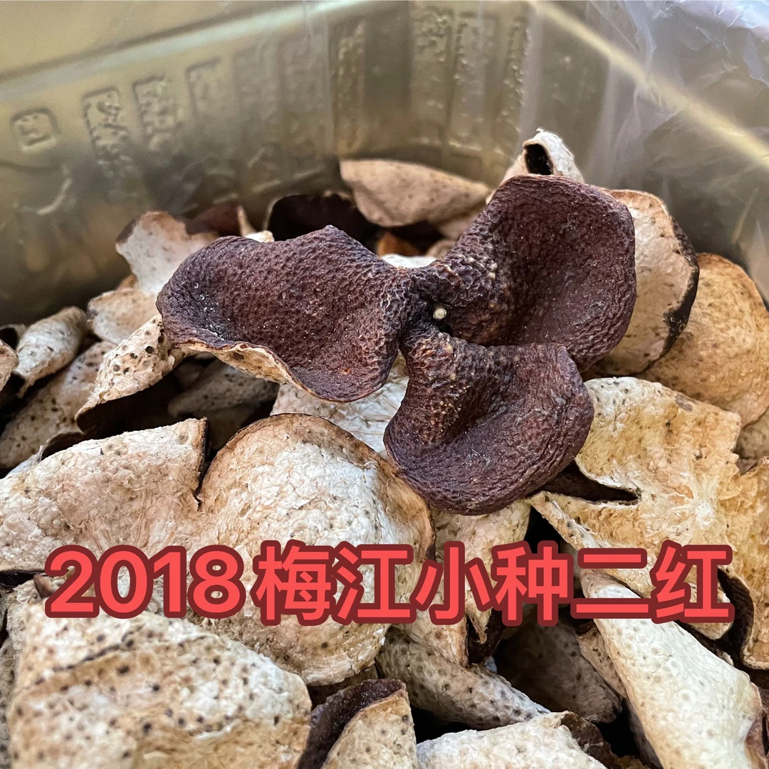 2018梅江小种油身红皮梅子香新会陈皮