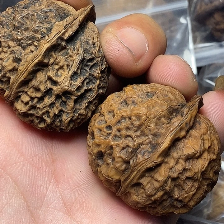 把件文玩核桃云南铁核桃6