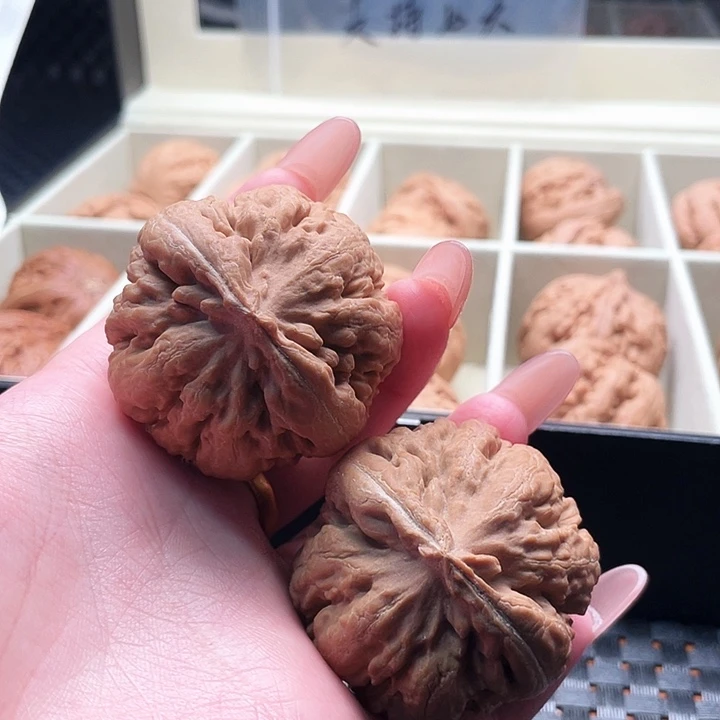 孙***泳霸王龙核桃尺寸45
