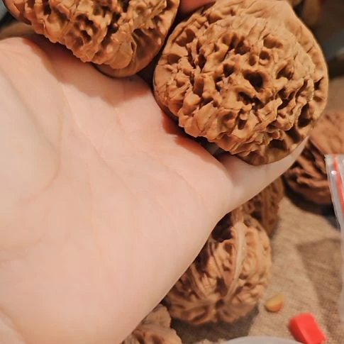 文玩核桃吊坠50龙鼎管