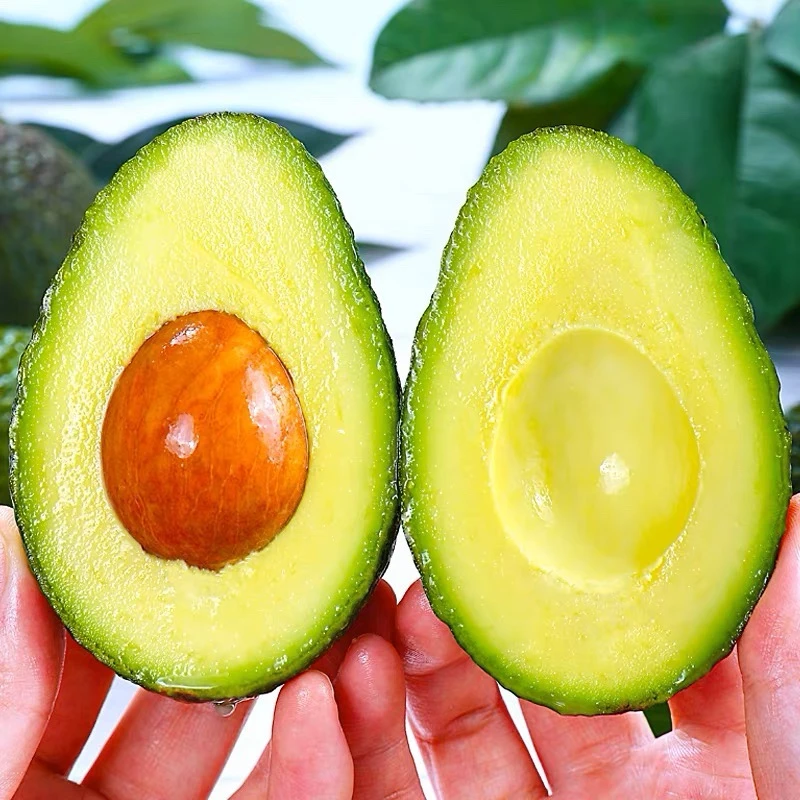 【坏果包赔】云南哈斯牛油果新鲜当季宝宝辅食