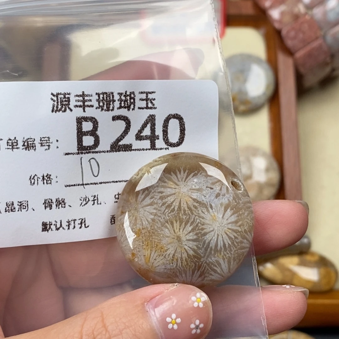 *****硅化玉未镶嵌颈饰
