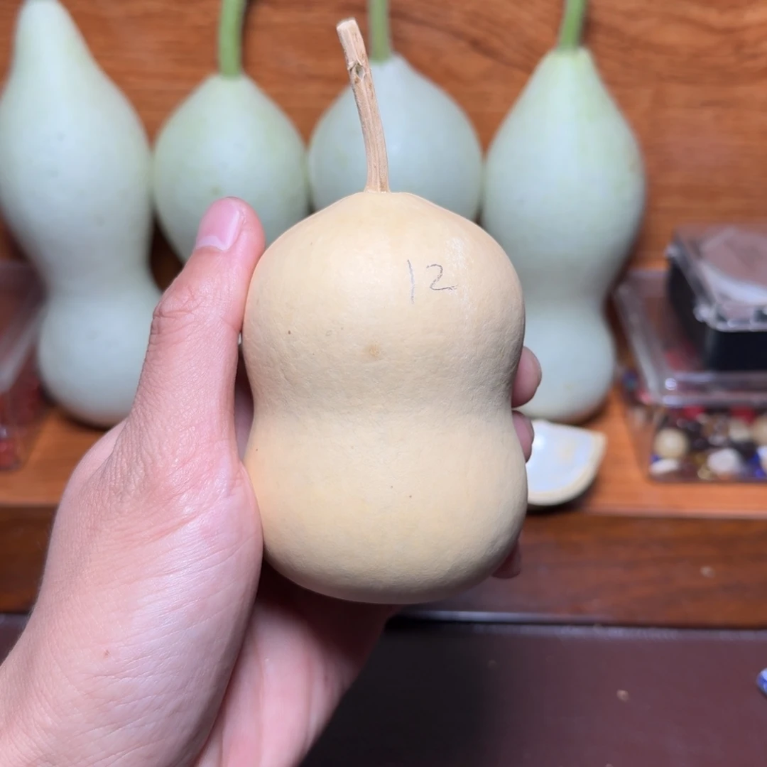 12号本长葫芦定向链接