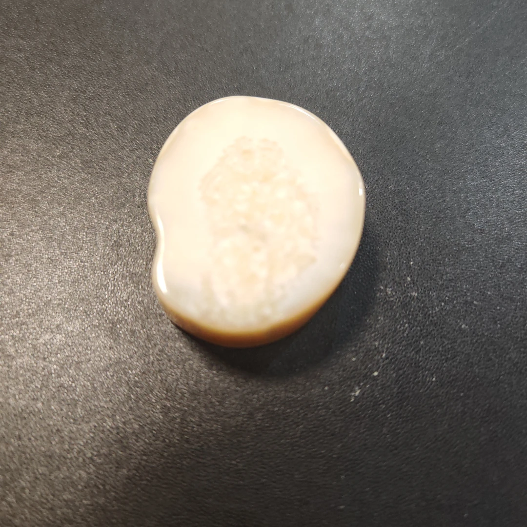 猛犸猛犸虬饼子WW723