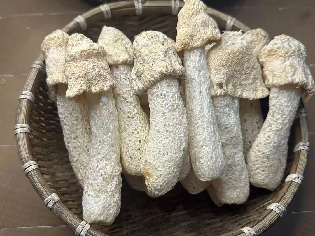 帮爸妈卖竹荪，农家无硫竹荪