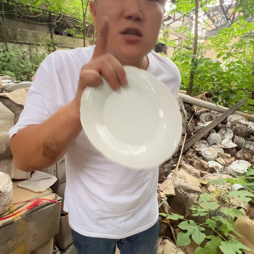 瓷片景德镇陶瓷老胎7寸菜盘10只