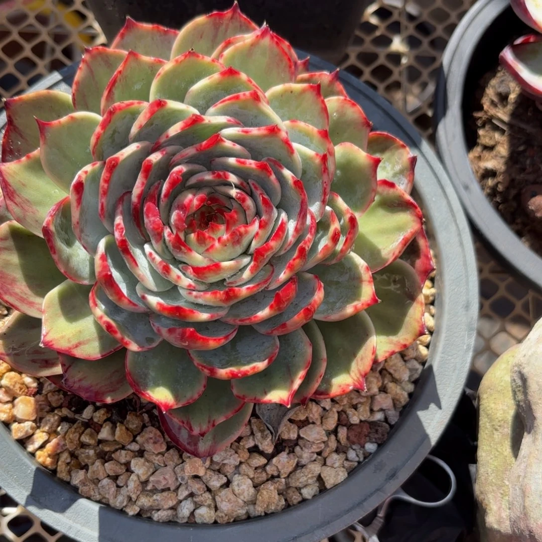 天***亿哈哈哈哈好吧宝贝宝贝宝贝宝贝