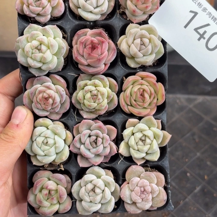 140。