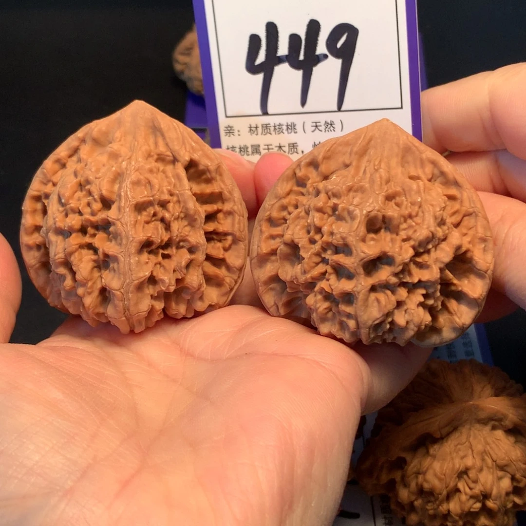 核桃449官帽5.2全品