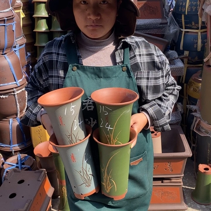 紫砂花盆盆栽花卉苗木种植