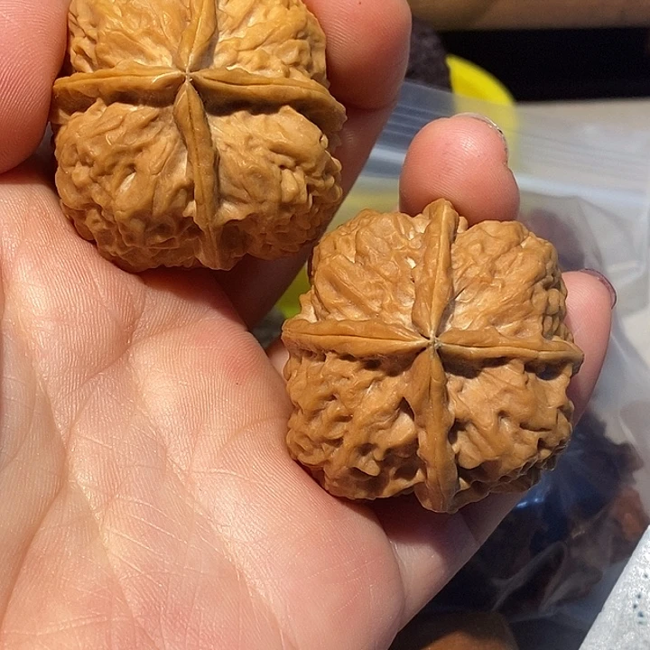 文玩核桃把件77777¥777¥¥
