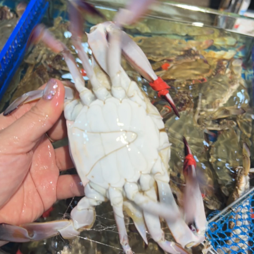 鲜活东港大飞蟹105给4斤