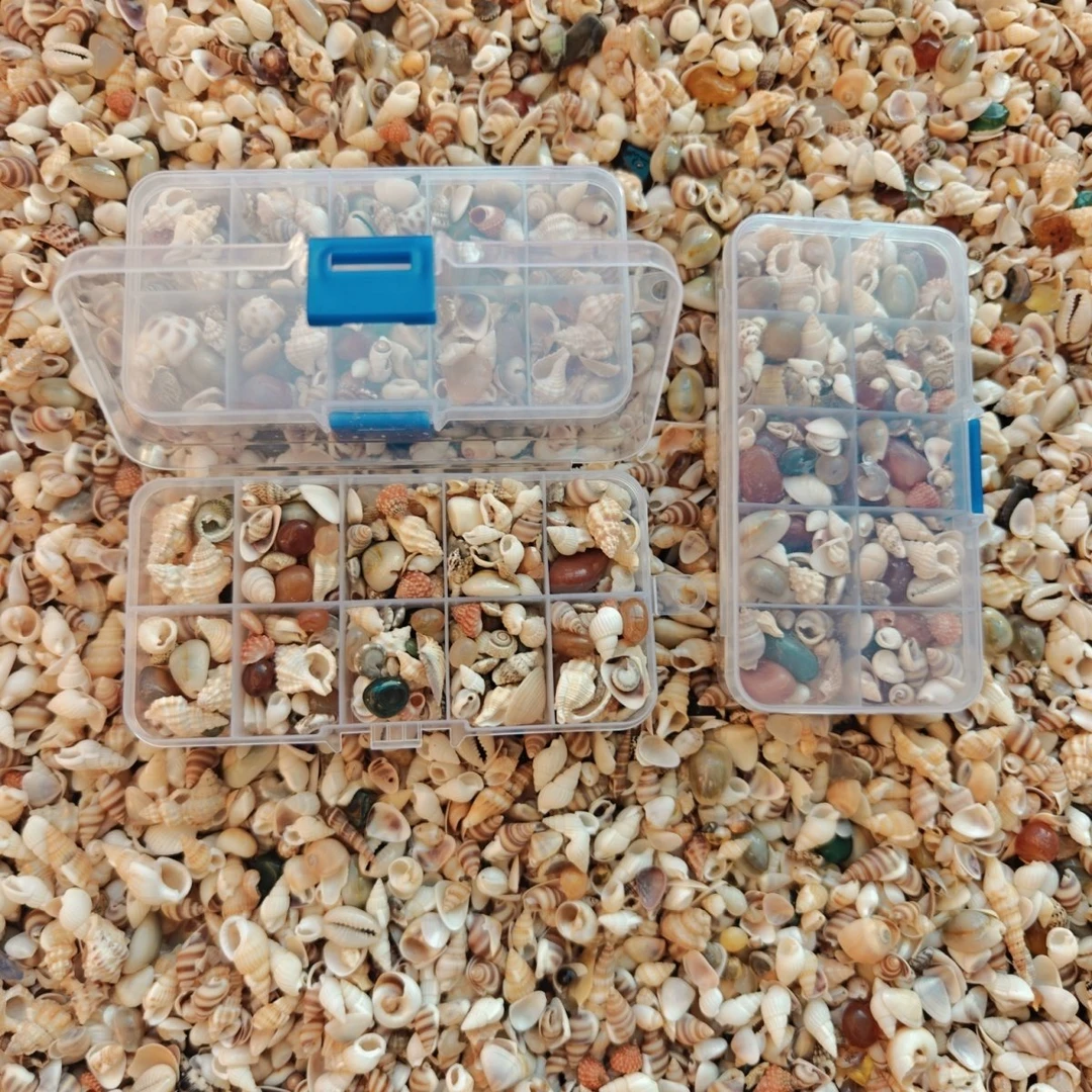 纯天然小贝壳小海螺1厘米幼儿园手工diy材料迷你七彩生物五颜