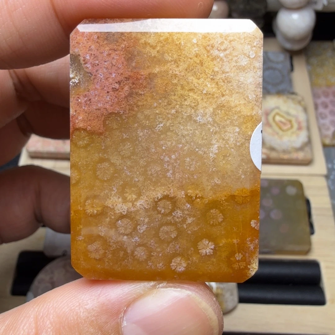 硅化玉未镶嵌纯天然色有机玉石保真色