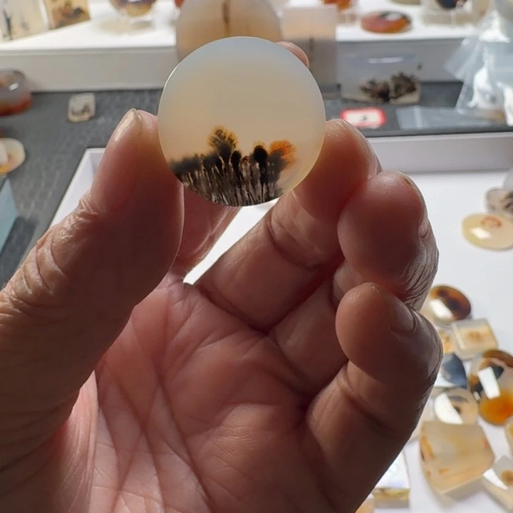 地***忆玛瑙/玉髓未镶嵌珠宝奇石