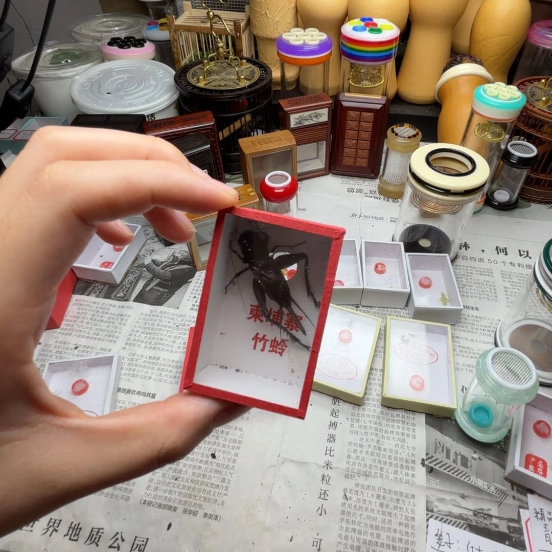 哈哈哈哈哈哈哈哈哈哈哈