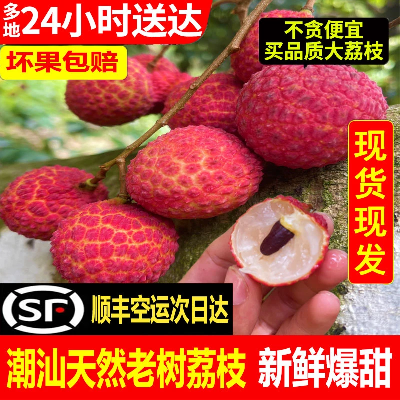 【顺丰空运】广东潮汕小糯米糍荔枝现摘现发新鲜当季水果荔枝包邮