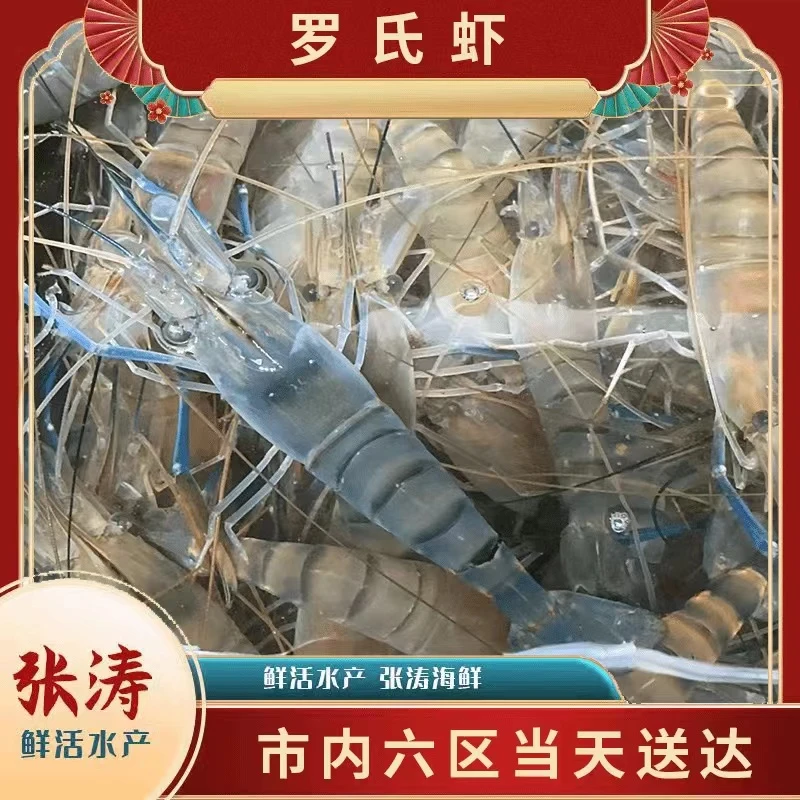 【罗氏虾】罗氏虾 天津张涛鲜活水产 同城当日达