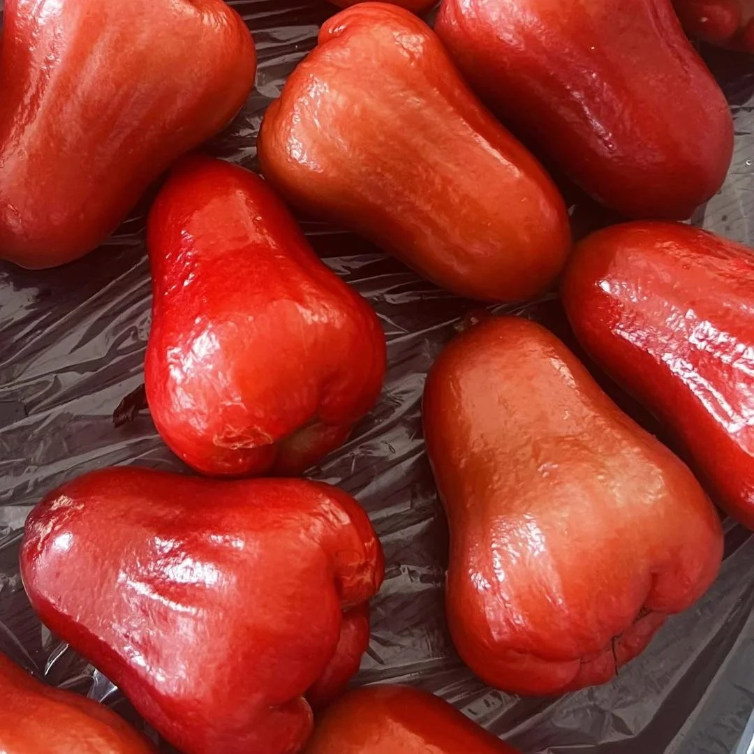 【辉展甄选】莲雾海南黑金刚新鲜水果现摘热带水果清甜多汁包邮