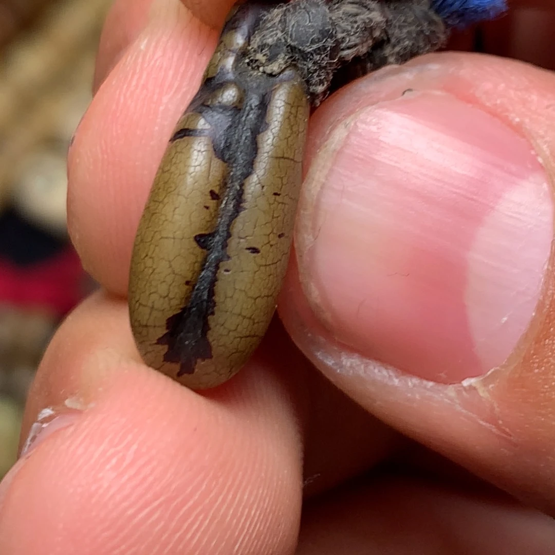 泥塑啊啊啊啊啊啊啊