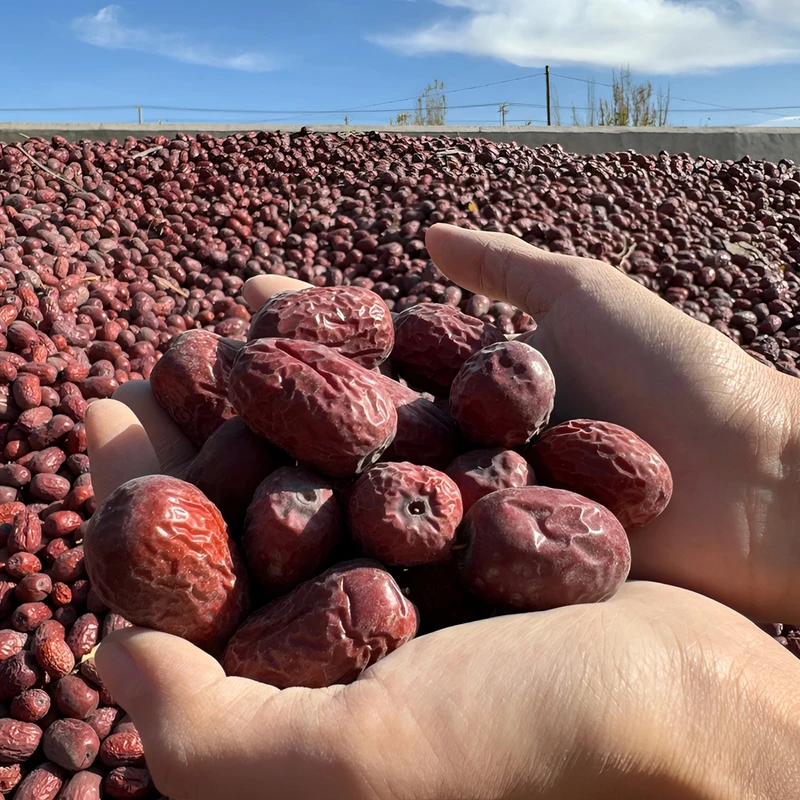 【新疆直发】新疆若羌灰枣5斤原生态未清洗带土红枣树上吊干25新货