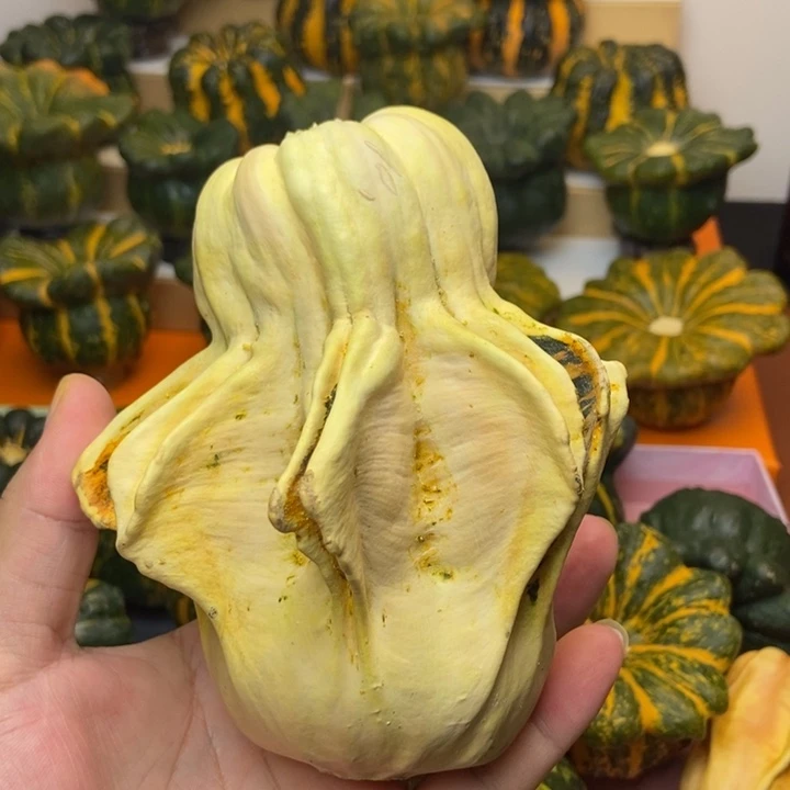 福利福利福利福利