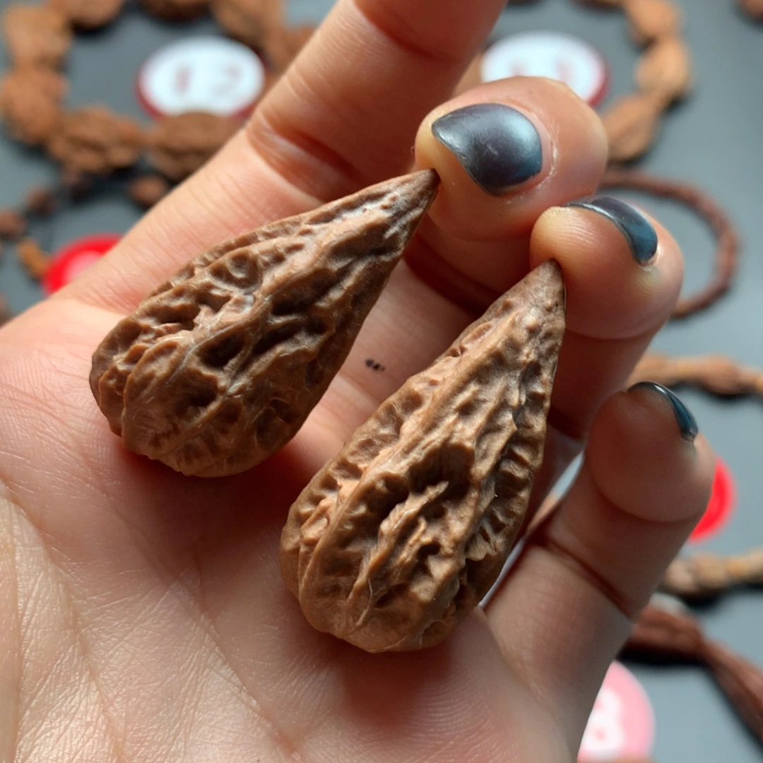 核桃15东北水滴高40