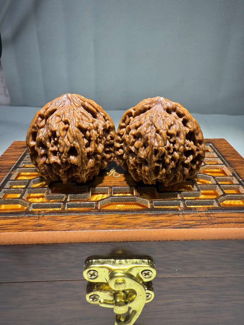 南将石村老树一代果（新宇家）