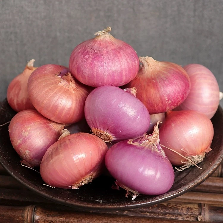 云南紫皮小洋葱露天种植缅甸品种小圆葱葱头现挖发货