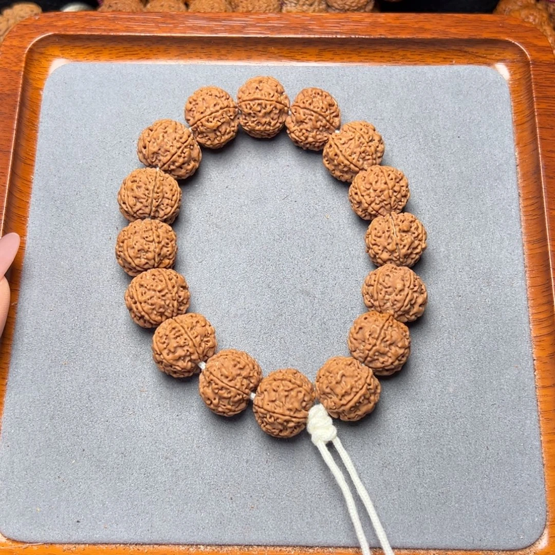 菩提8号金刚去菩提六瓣19