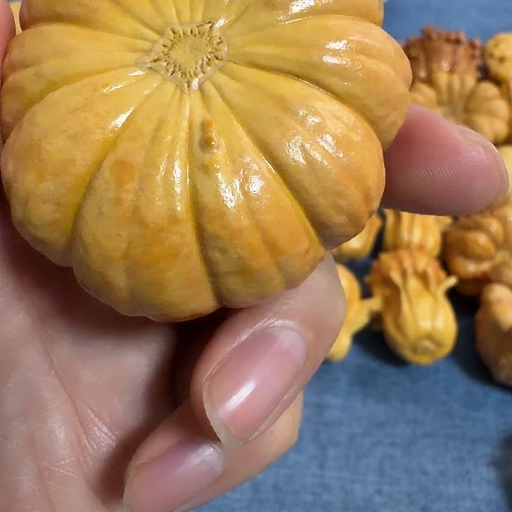 大***儿墨西哥七彩疙瘩葫芦