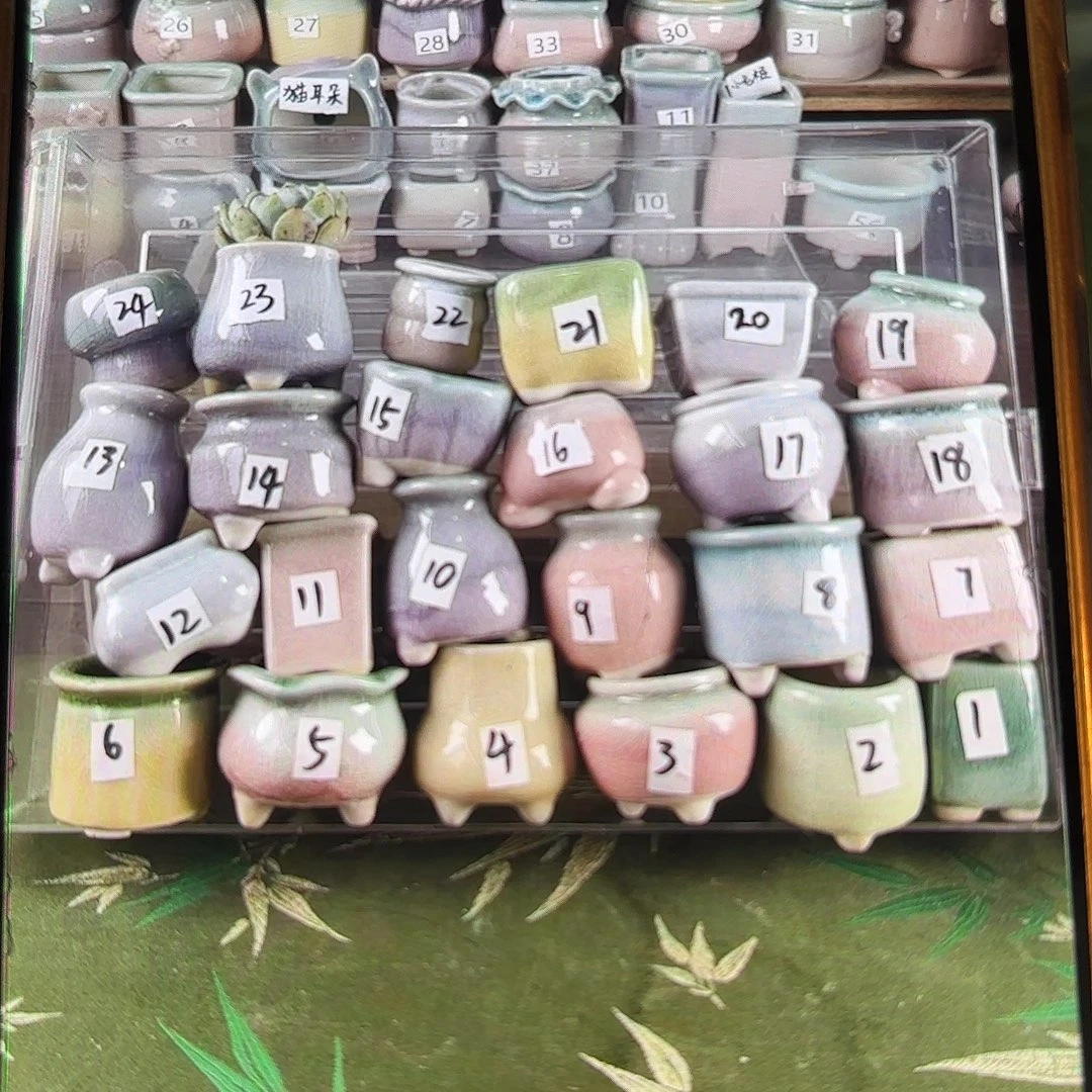 量货/口2.5高深浅搭配发12