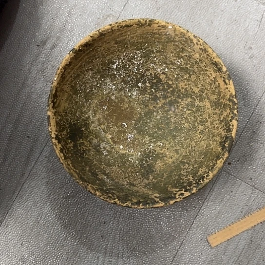 蓝***海杂色豆（科檀/科特迪瓦檀木）
