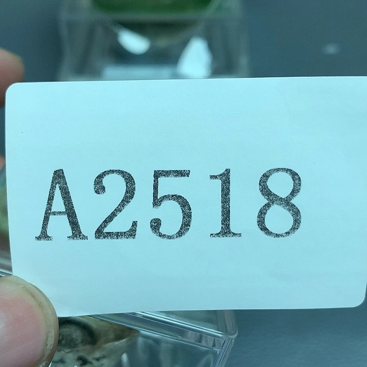 葡***。有机玻璃摆件1111111摆件