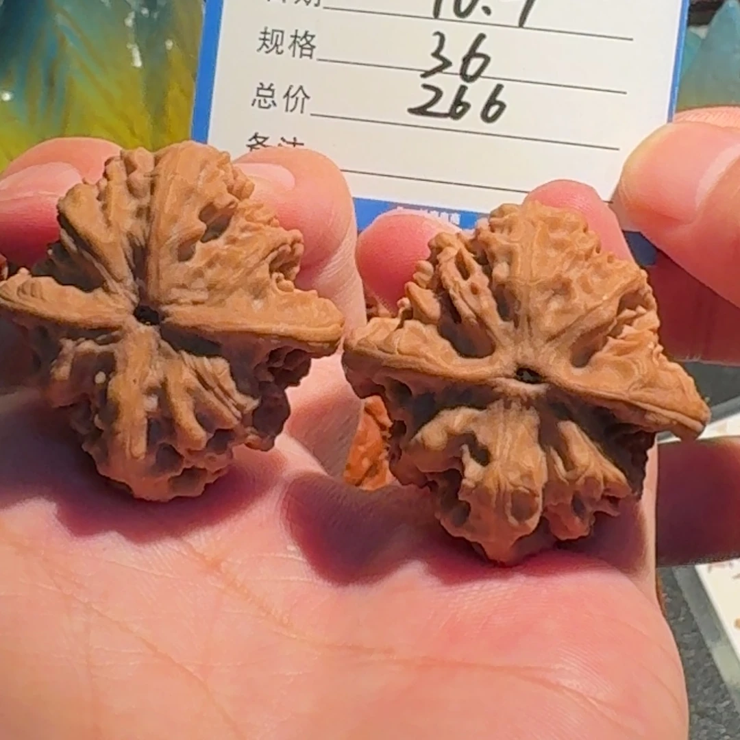 多***浆野狼全品编号1877