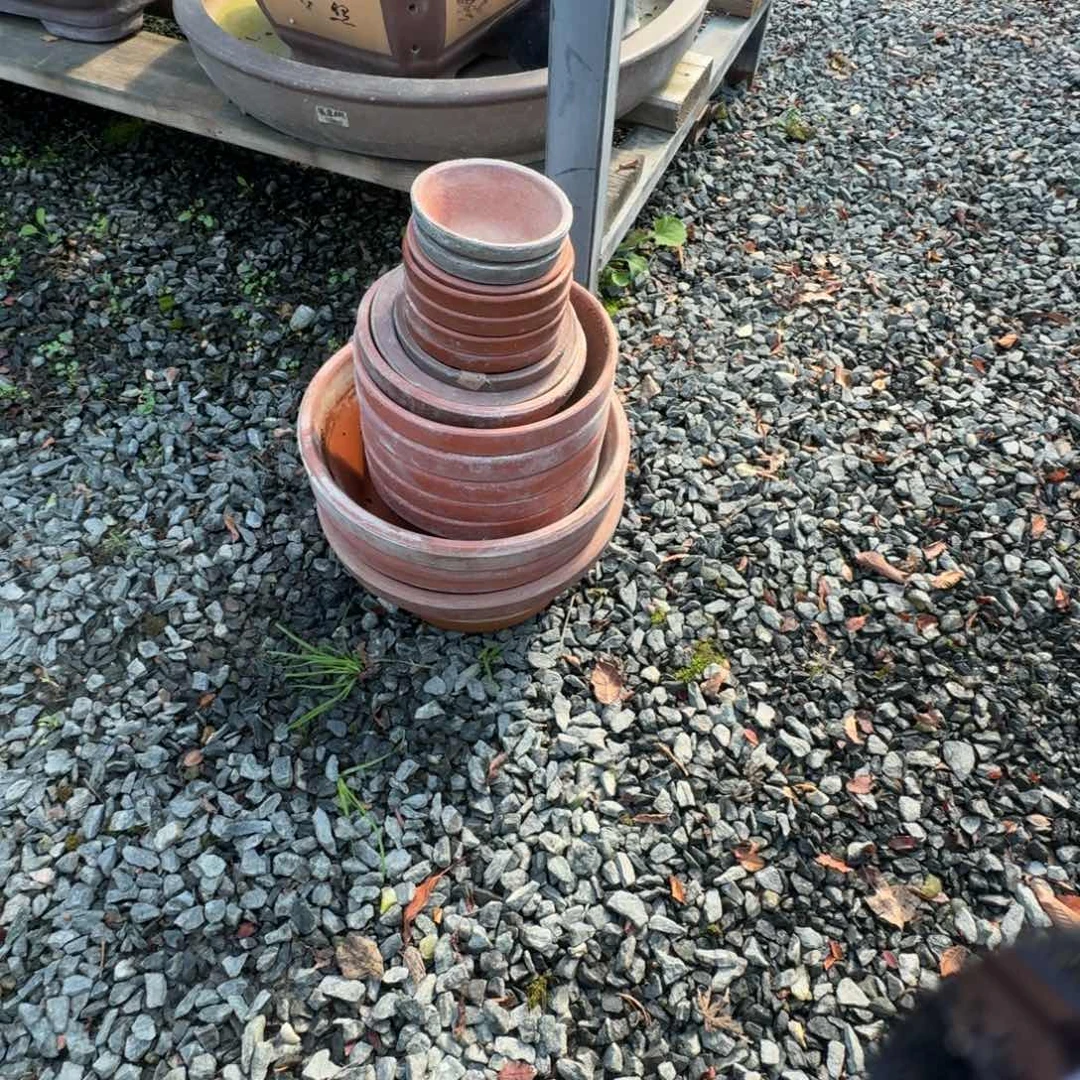 无花朵盆1111111111