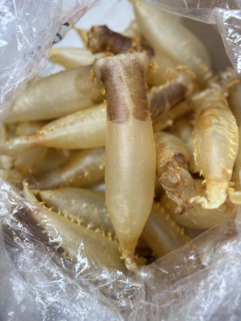 《宜膳源》精选大头数老腊赤花筒 花胶鱼胶滋补