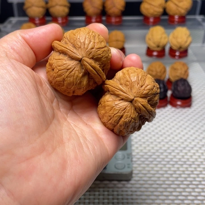 文玩核桃把件29金龟玉甲