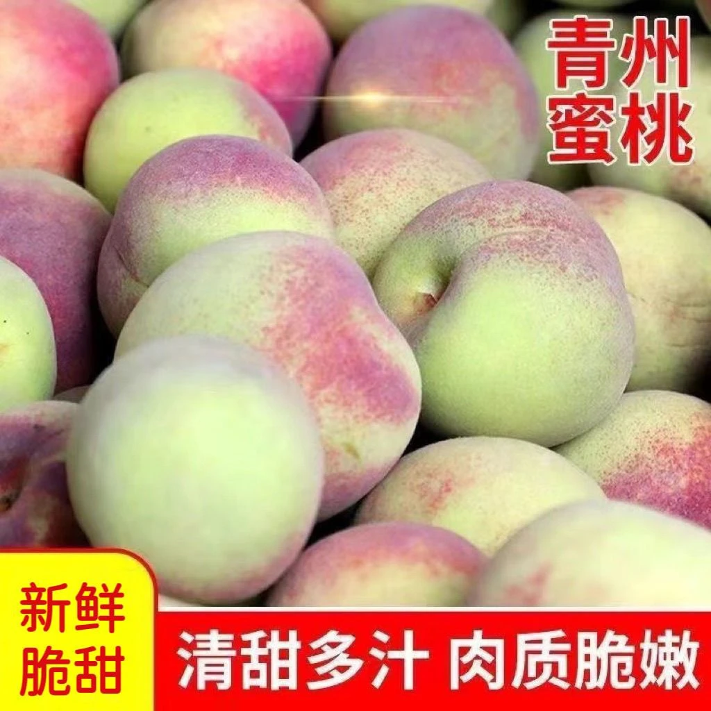 青州蜜桃桃子新鲜脆桃硬桃毛桃脆桃脆甜非水蜜桃硬脆新鲜水果整箱