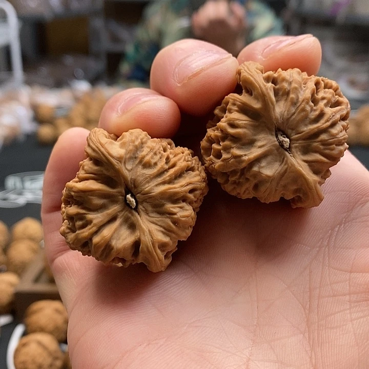 大叶紫檀（黑酸枝木类）南疆