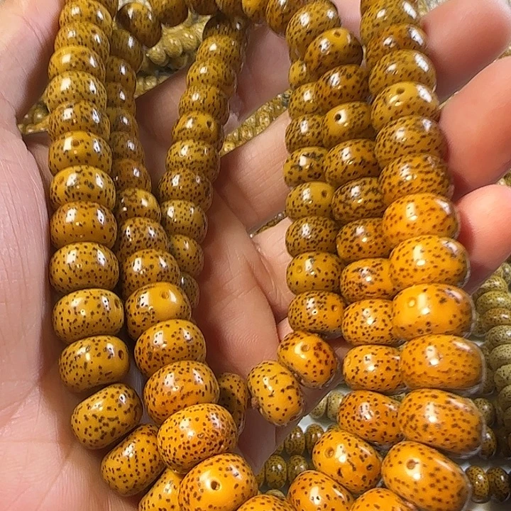 老脱脂星月菩提105