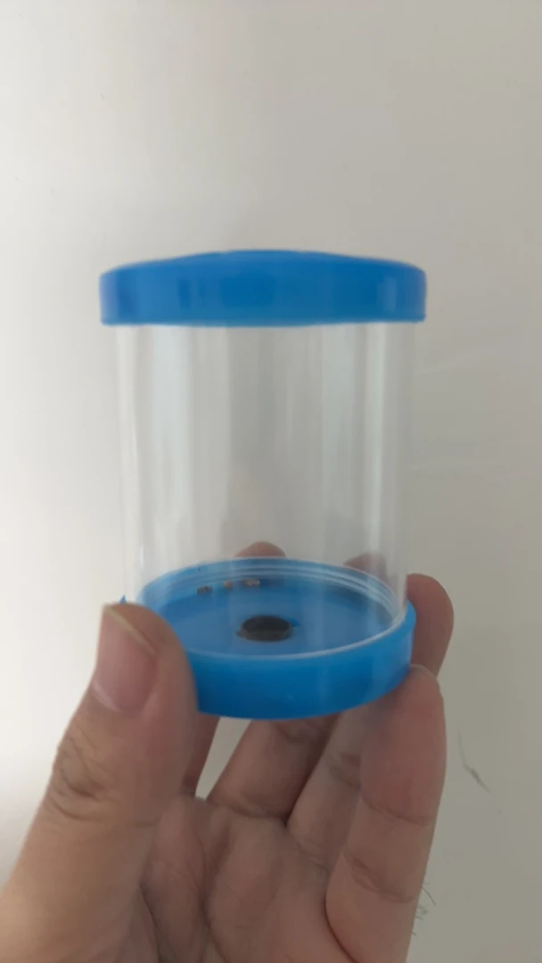 直播间补差价蝈蝈专用，切勿自拍