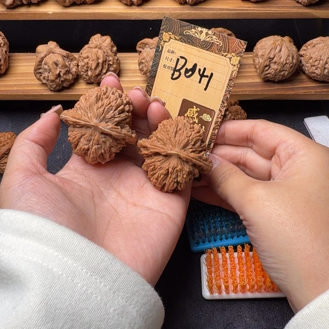 核桃b041四座楼4.4