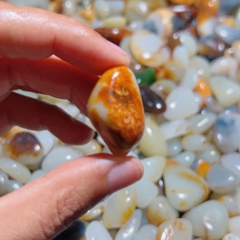 和田玉（糖玉）手链未镶嵌8