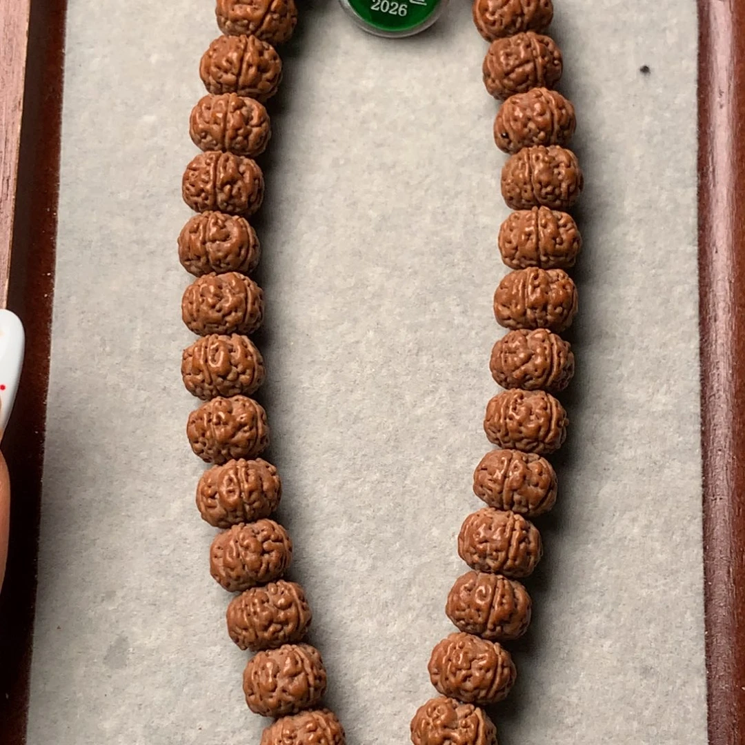 岑***哇手串金刚菩提老树王