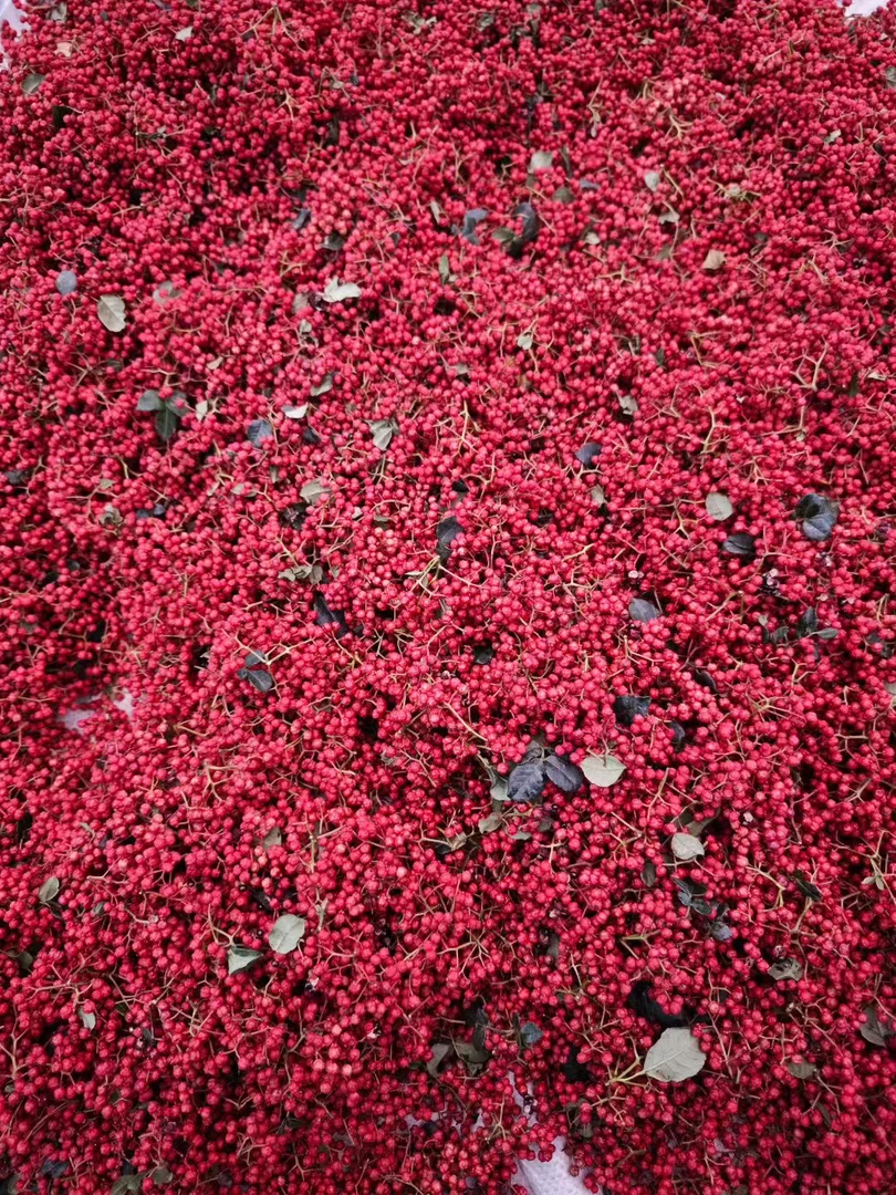 新鲜现摘花椒特麻特香可制作花椒粉头茬新货