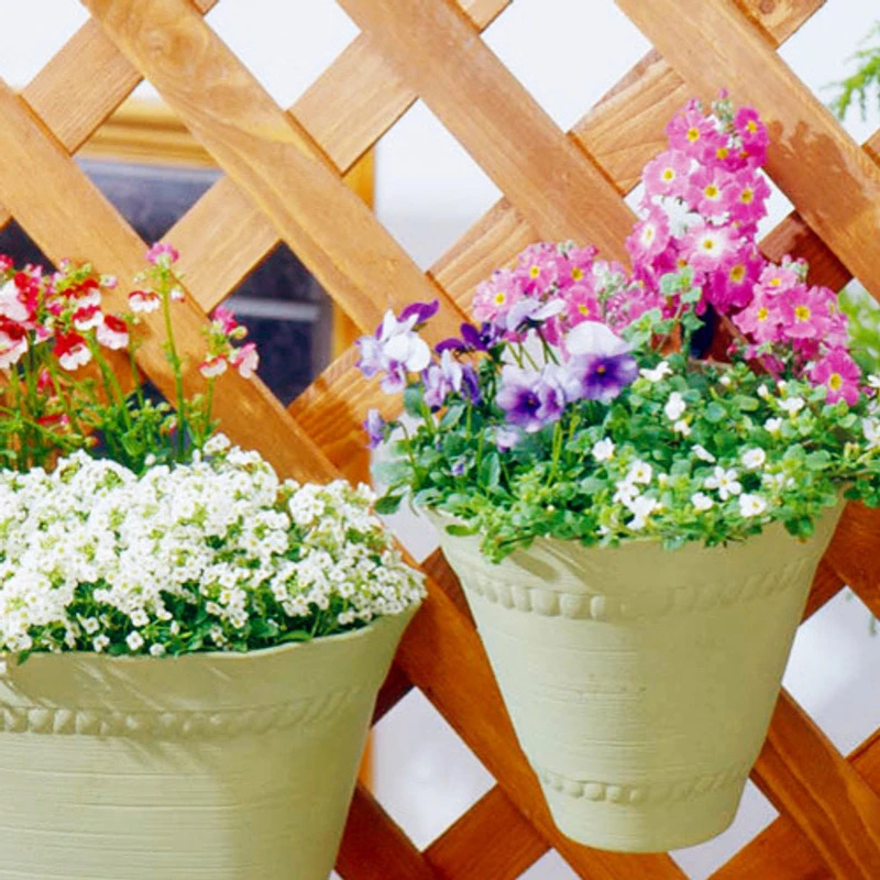 爱丽思壁挂花盆 庭院悬挂花盆 露台挂式花盆 窗台花盆 7号8号