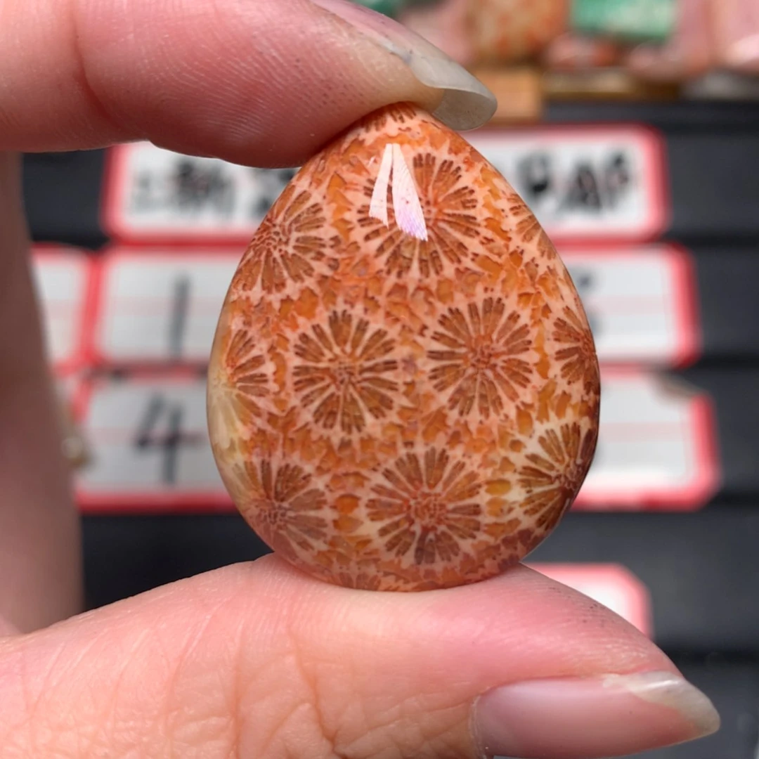 【闪购商品】未镶嵌颈饰硅化玉生*