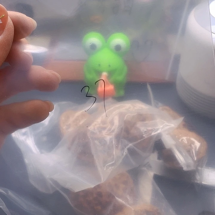 文玩核桃吊坠文玩37